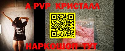 стафф Донской