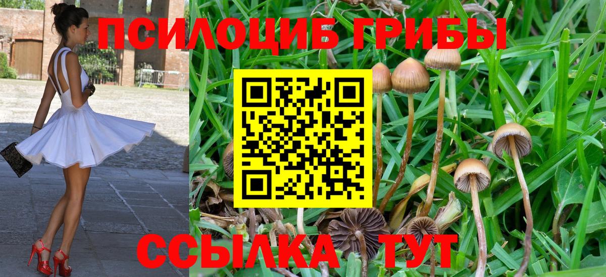 Галлюциногенные грибы Cubensis  Галлюциногенные грибы GOLDEN TEACHER  Вход с VPN  купить   Люберцы 